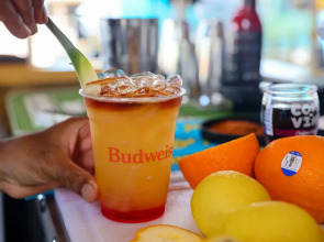 Siesta Key Beach Resort and Suites