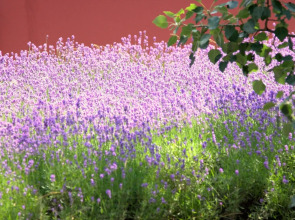 Boutiquehotel Stadthalle