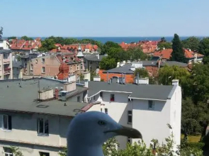 Sopot apartament z widokiem na Morze