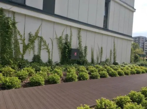 Airport Comfy Guest House