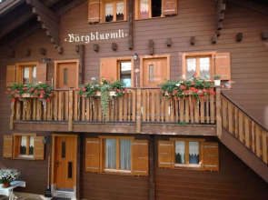 Bärgblüemli - 2. Stock Ost