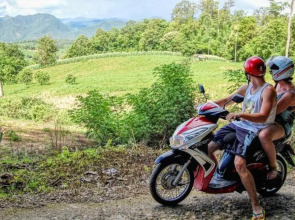 Happy Vikings - Beachfront