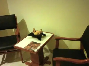 Cocohut Resort