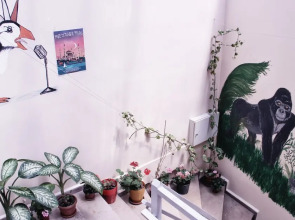 Puffin Suites & Rooms