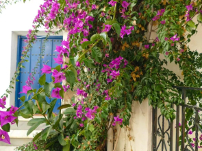 La Casa de la Bombilla Verde