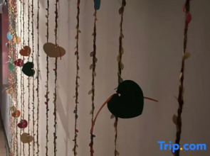 Shenyang encounters love tribes B&B