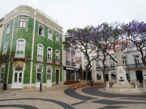 Casa Palmeira