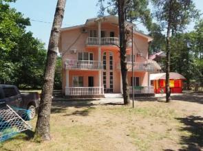 Alfa Shekvetili