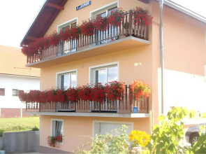 Guest House Toic
