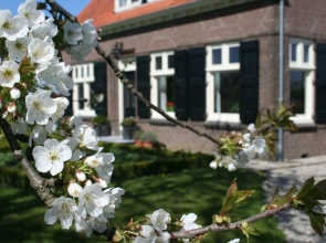 Spacious Farmhouse in IJzendijke with Garden