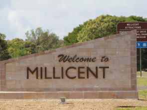 Sandpipers at Millicent