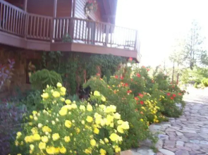 Barn Studios at Canyon Crest Lodge