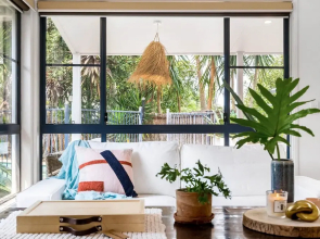 Bangalow Palms