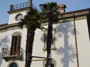 Le Ali del Frassino