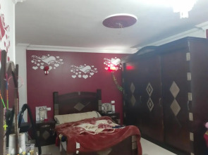 ارض اللواء. يمين المحور