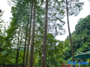Dujiangyan Qingcheng Back Hill Liaoyuan B&B