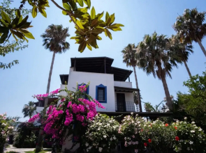 Astonishing Villa With Pool Near Tilkicik Bay