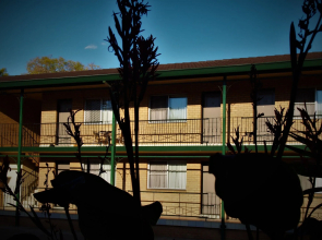 Grafton Central Motel