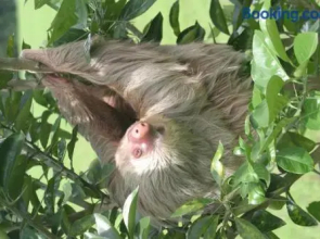 Sunrise 26 at Tamarindo