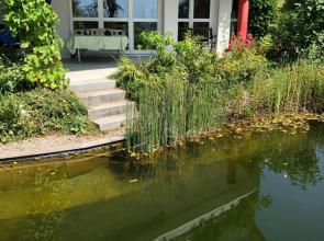 Apartment Green Elephant