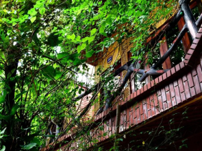 Tam Coc Amanda Villas