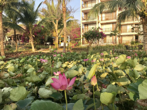 Fiore Healthy Resort