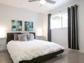 Travis Heights Modern III