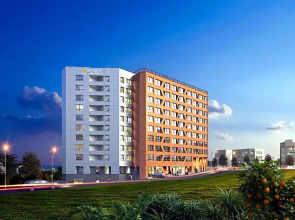 Seogwipo Shinshin Hotel