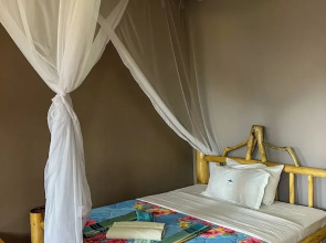 Gorilla Bluff Lodge
