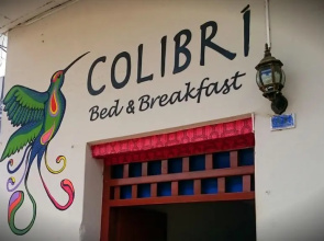 Backpacker Colibri Tarapoto