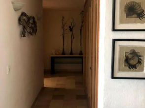 Mayan Playa Departamento Tikal