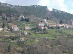 INTERNATURAM