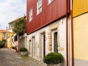 Romantic - Garden of Camellias