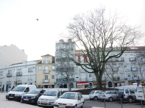 Novo Apartamento Graça