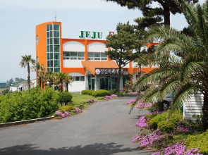 Jeju Feel House