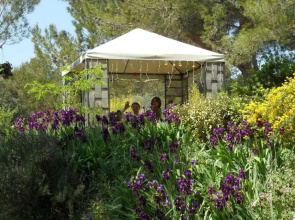 L'Oliveraie En Provence