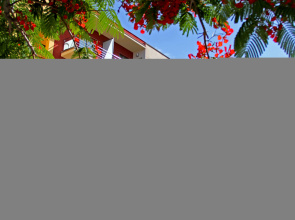 Apartamentos Dracaena Puerto de Tazacorte