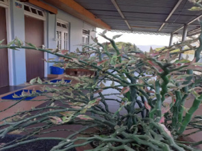 StayApart - Chiabari Homestay