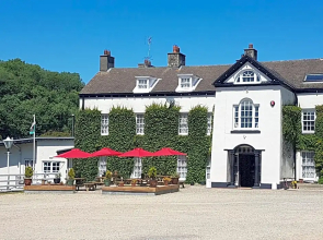 Llwyngwair Manor