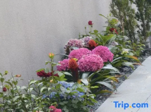 Shanyitang Mountain and Water Resort Villa, Wuyishan City