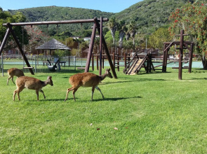 Brenton Park Holiday Cottages