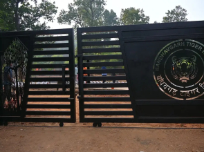 Bandhavgarh Tiger Resort