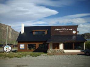 Condor De Los Andes