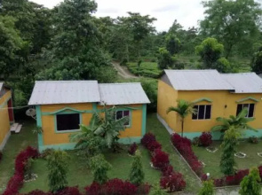 Mystic resort amidst Tea Garden