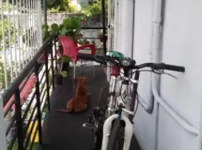 Mini's Residence