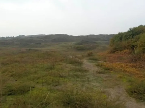B&B Noordwijk Binnen