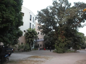 Central Palms Hotel