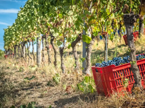 Agriturismo Rivetto