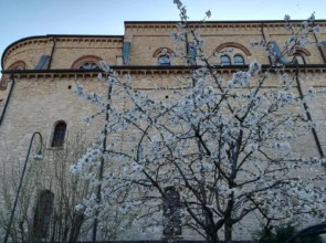 B&B Airport Bergamo