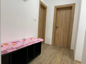 Entire spacious apartment with free parking
